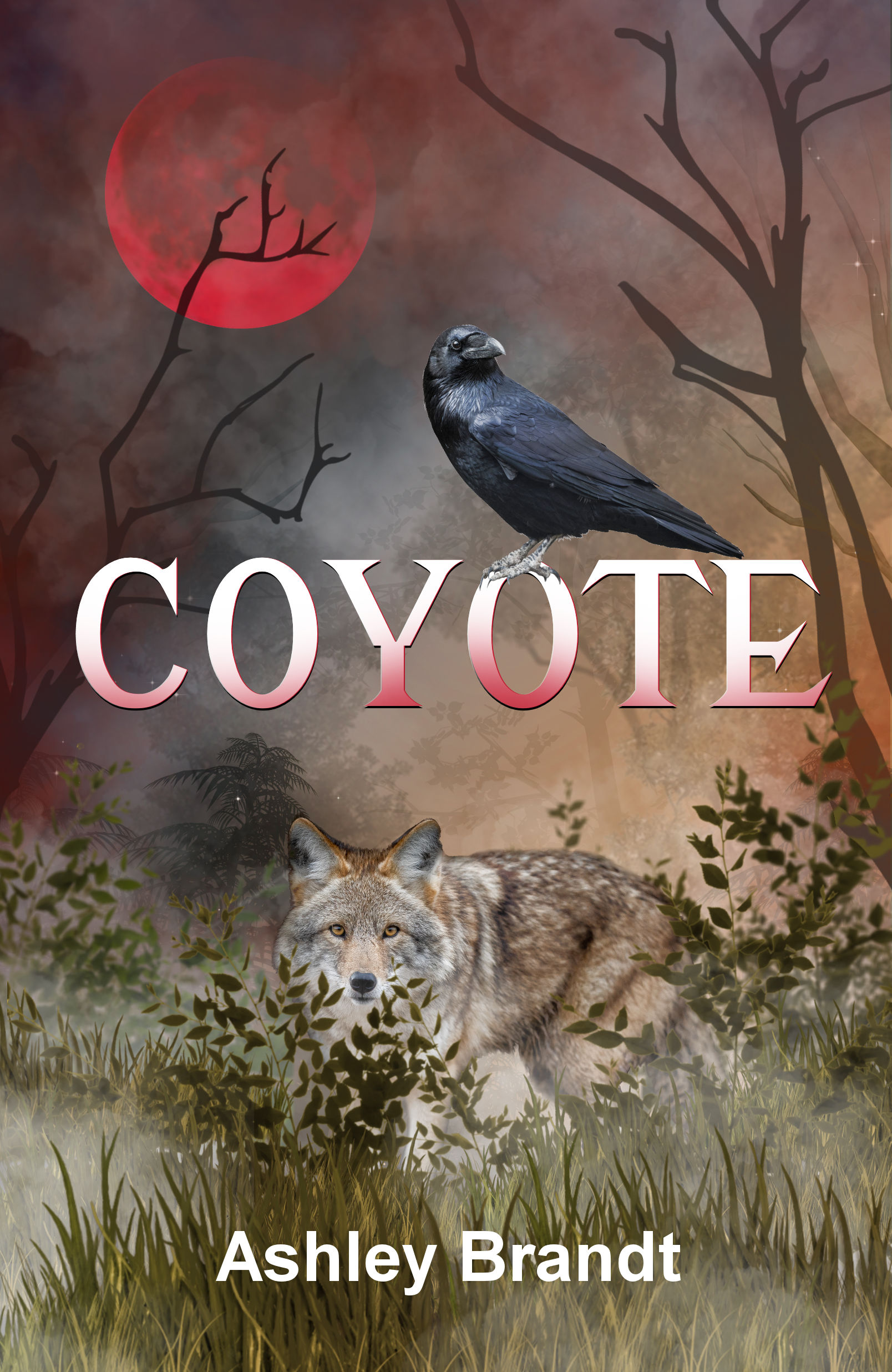 Coyote high res front