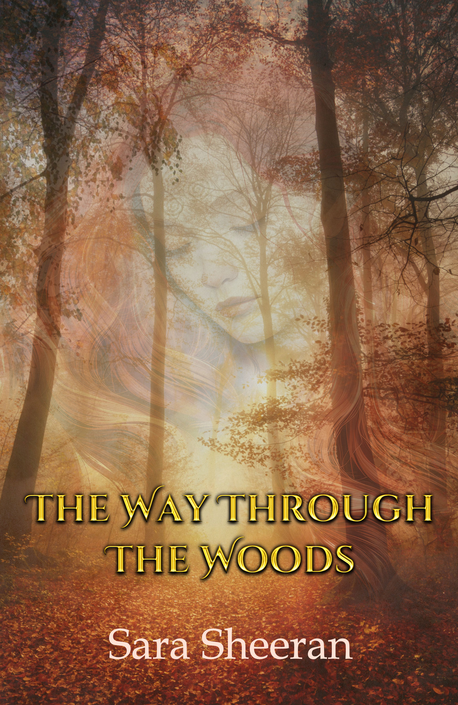 2-The Way through the woods