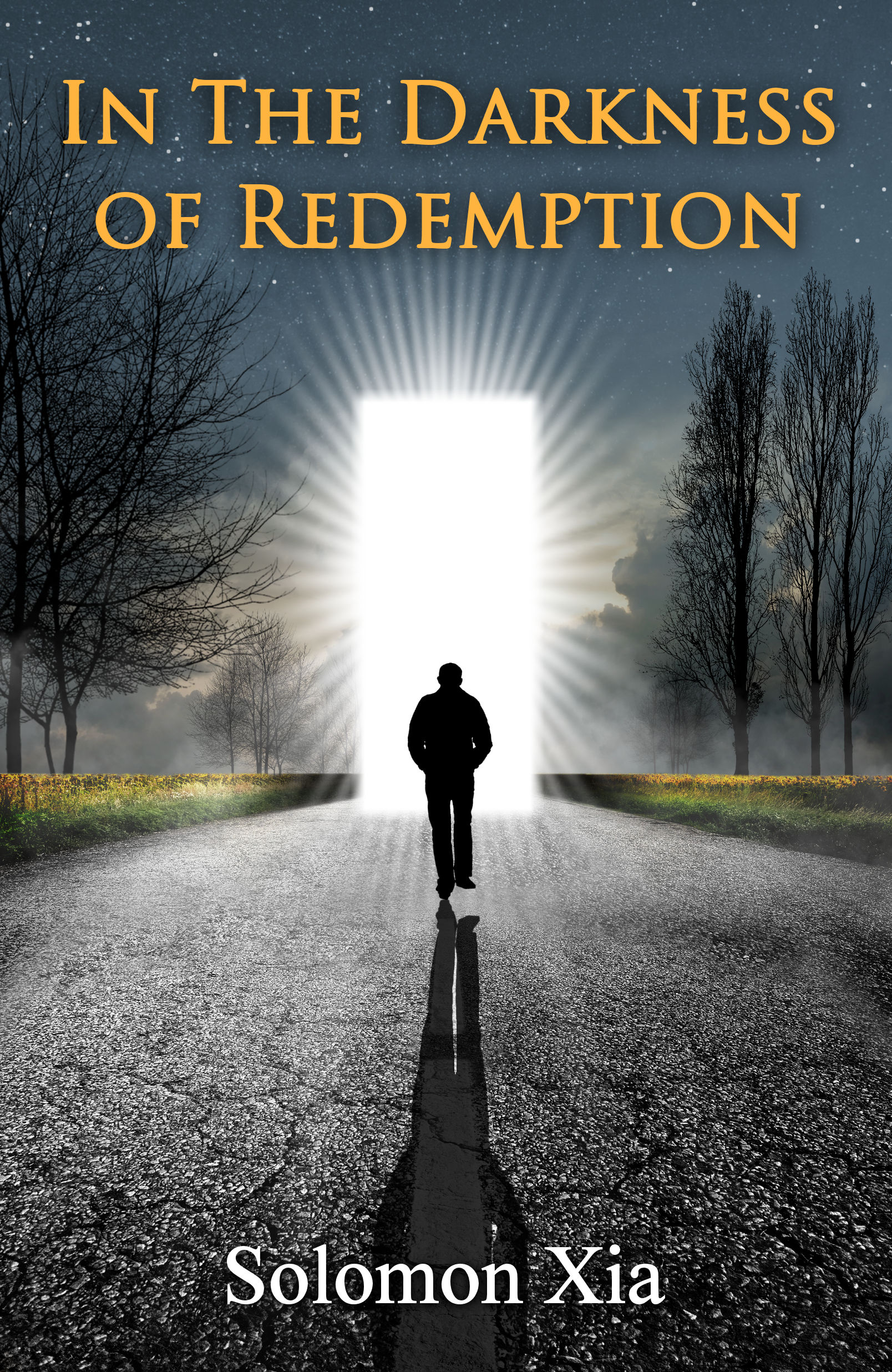 FRONT-High Res-In The Darkness of Redemption